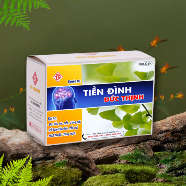 tien dinh Duc Thinh