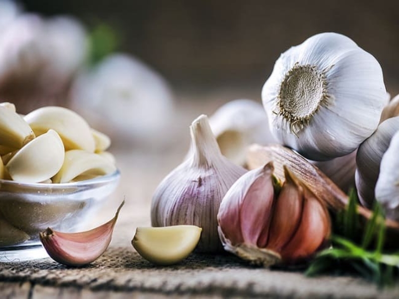 Tỏi có tính nóng, có tác dụng sát khuẩn, tiêu viêm, kích thích tuần hoàn máu